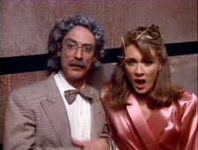 Sledge Hammer!, Season 1 Episode 20 image