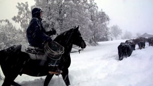 Alaska: The Last Frontier, Season 5 Episode 18 image