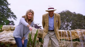 The Pool Master, Season 1 Episode 11 image