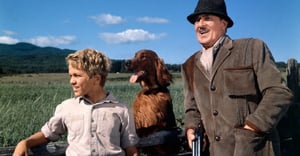 The Magical World of Disney, Season 11 Episode 12 image