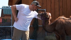 Impractical Jokers, Season 7 Episode 20 image