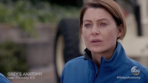 Grey's Anatomy, Season 11 Episode 23 image