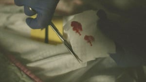 A Time to Kill, Season 5 Episode 7 image