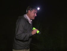 Dangerous Encounters, Season 2 Episode 4 image