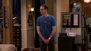 The Big Bang Theory, Season 9 Episode 12 image
