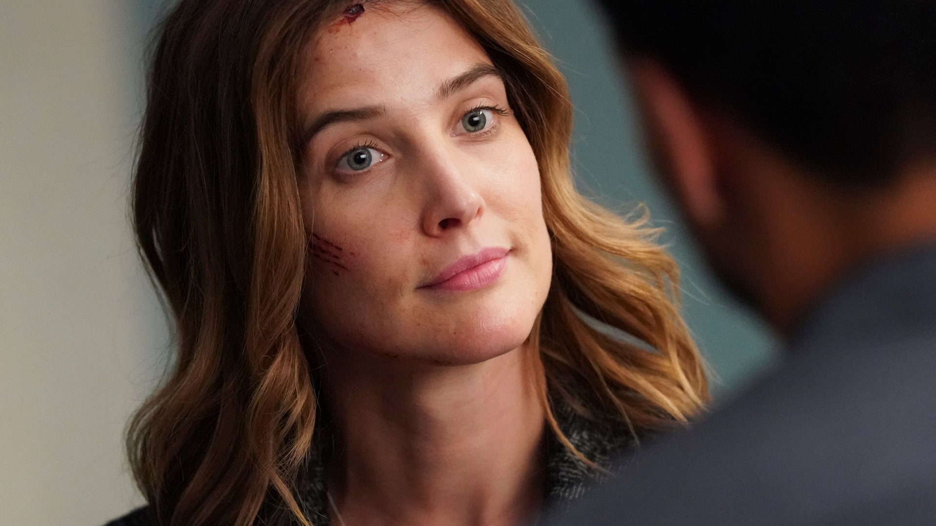 Cobie Smulders, Stumptown