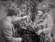 The Adventures of Ozzie and Harriet, Season 3 Episode 13 image