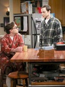 The Big Bang Theory, Season 8 Episode 4 image