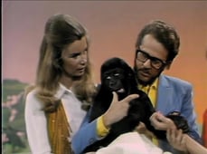 The Pet Set, Season 1 Episode 4 image