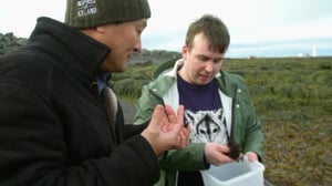 Simply Ming, Season 15 Episode 19 image