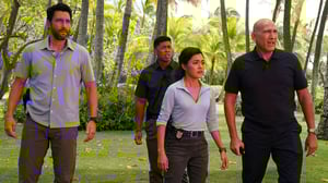 NCIS: Hawai'i, Season 1 Episode 8 image