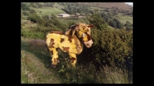 Last of the Summer Wine, Season 14 Episode 5 image