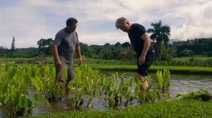 Gordon Ramsay: Uncharted, Season 1 Episode 4 image
