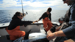 Wicked Tuna, Season 2 Episode 13 image