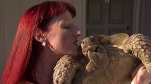 Bad Dog!, Season 1 Episode 4 image