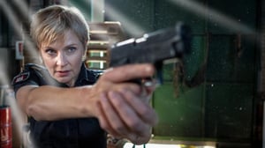 Notruf Hafenkante, Season 14 Episode 13 image