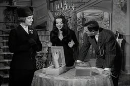 The Addams Family, Season 2 Episode 4 image