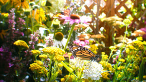 Journey with Dylan Dreyer, Season 2 Episode 1 image