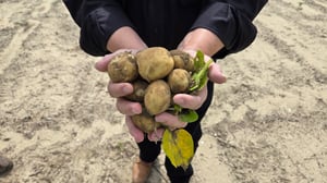 Where the Food Comes From, Season 5 Episode 5 image