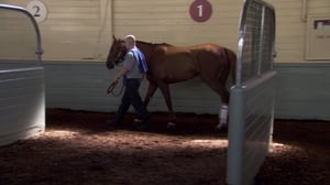 Jockeys, Season 1 Episode 2 image