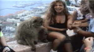 America's Funniest Home Videos, Season 12 Episode 3 image