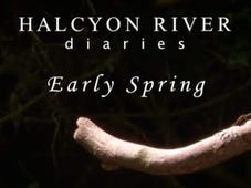 Halcyon River Diaries, Season 1 Episode 1 image