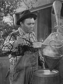 The Andy Griffith Show, Season 1 Episode 17 image