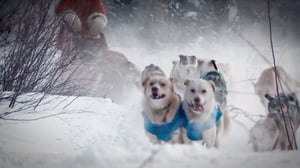 Yukon Men, Season 1 Episode 1 image