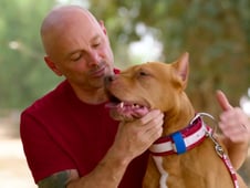 America's Top Dog, Season 2 Episode 7 image