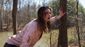 Swamp Murders, Season 3 Episode 1 image