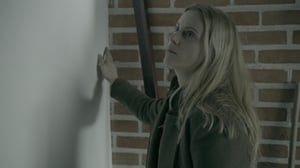 The Bridge, Season 1 Episode 10 image