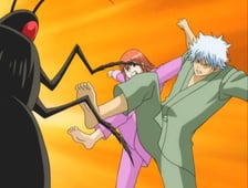 Gintama, Season 1 Episode 29 image