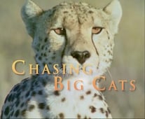 Nature, Season 23 Episode 1 image