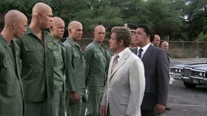 Hawaii Five-O, Season 4 Episode 18 image