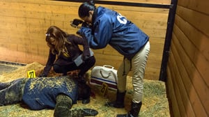 Motive, Season 2 Episode 10 image