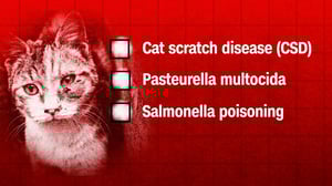 Something's Killing Me, Season 3 Episode 1 image