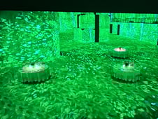 MasterChef Australia, Season 14 Episode 34 image