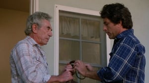 The Incredible Hulk, Season 3 Episode 6 image