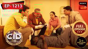 C.I.D., Season 1 Episode 1213 image