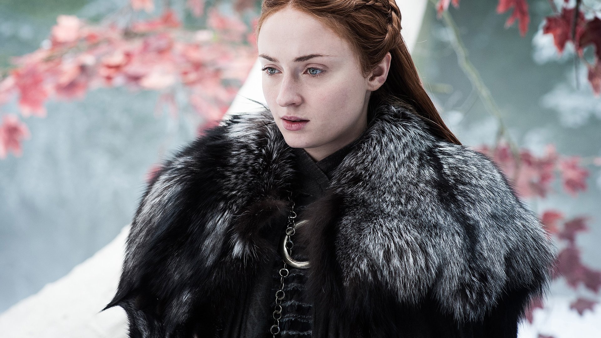 Sophie Turner, Game of Thrones