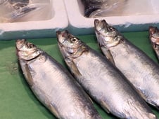 Rudy Maxa's World, Season 4 Episode 3 image