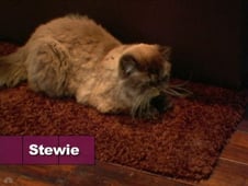 Flipping Out, Season 1 Episode 5 image