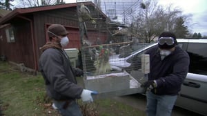Hoarders, Season 2 Episode 14 image