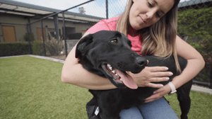 Pick of the Litter, Season 1 Episode 4 image