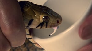 Wu Assassins, Season 1 Episode 6 image