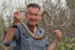 Ten Deadliest Snakes with Nigel Marven, Season 3 Episode 3 image
