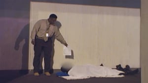 The First 48, Season 3 Episode 2 image