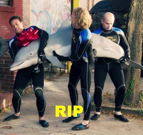 kimmy-schmidt-embed-ripdolphin.jpg