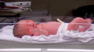 Little Women: LA, Season 8 Episode 6 image