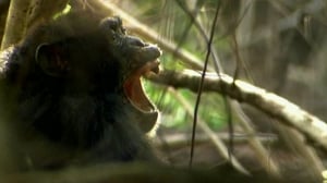 Nova, Season 35 Episode 5 image